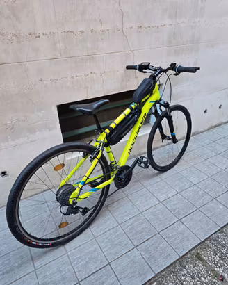 Bici elettrica e-bike pedalata assistita