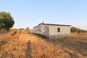 TER. AGRICOLO A ISOLA DI CAPO RIZZUTO