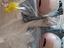 Immagine 2