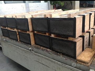 Pacchi d'ape disponibilità marzo-aprile