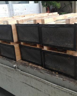 Pacchi d'ape disponibilità marzo-aprile