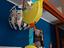 Immagine 3