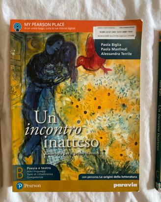 Un incontro inatteso Poesia (B)