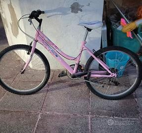 Bici Mountain bike Red Phoenix
