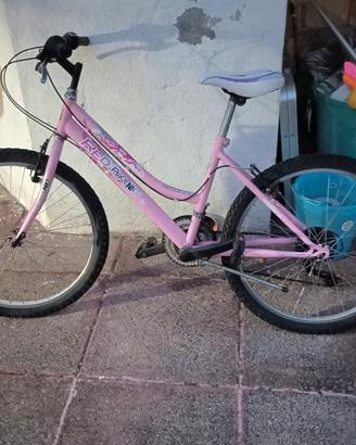 Bici Mountain bike Red Phoenix