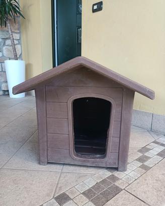 Cuccia cane