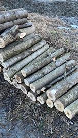 Legna da ardere Pioppo Tagliato a 105cm