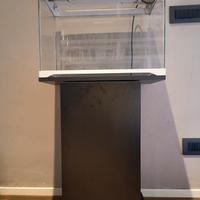 Acquario 40 litri