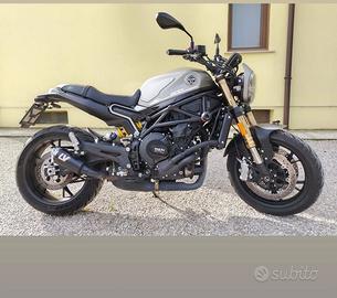 benelli leoncino 800