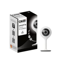 Telecamera di sorveglianza wireless