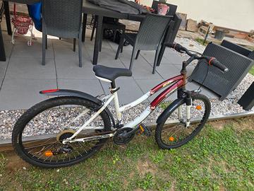 MTB donna 