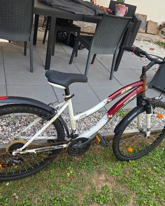 MTB donna 