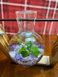 Composizione pianta acquatica  Anubias ed ametista