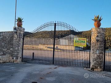 Serre idroponiche + masseria da ristrutturare