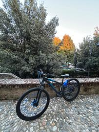 Rockrider st 120 custom (trattabile)