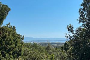 Terreno edificabile Poggio dei Pini