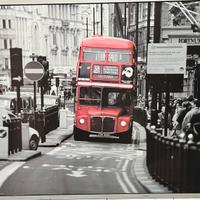 Quadro Bus Londta