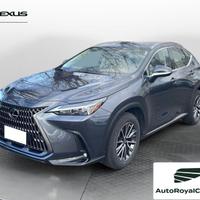 Lexus NX Hybrid Business+ 4WD IVA ESPOSTA KM ...