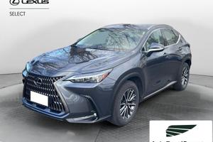Lexus NX Hybrid Business+ 4WD IVA ESPOSTA KM ...