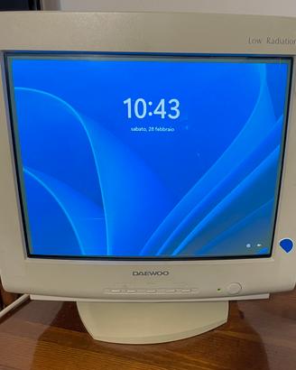 Monitor CRT Daewoo 532B per retropc, collezionismo
