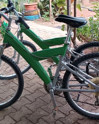 Due bici Pininfarina