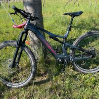 E-bike bici elettrica