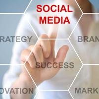 Social Media Manager