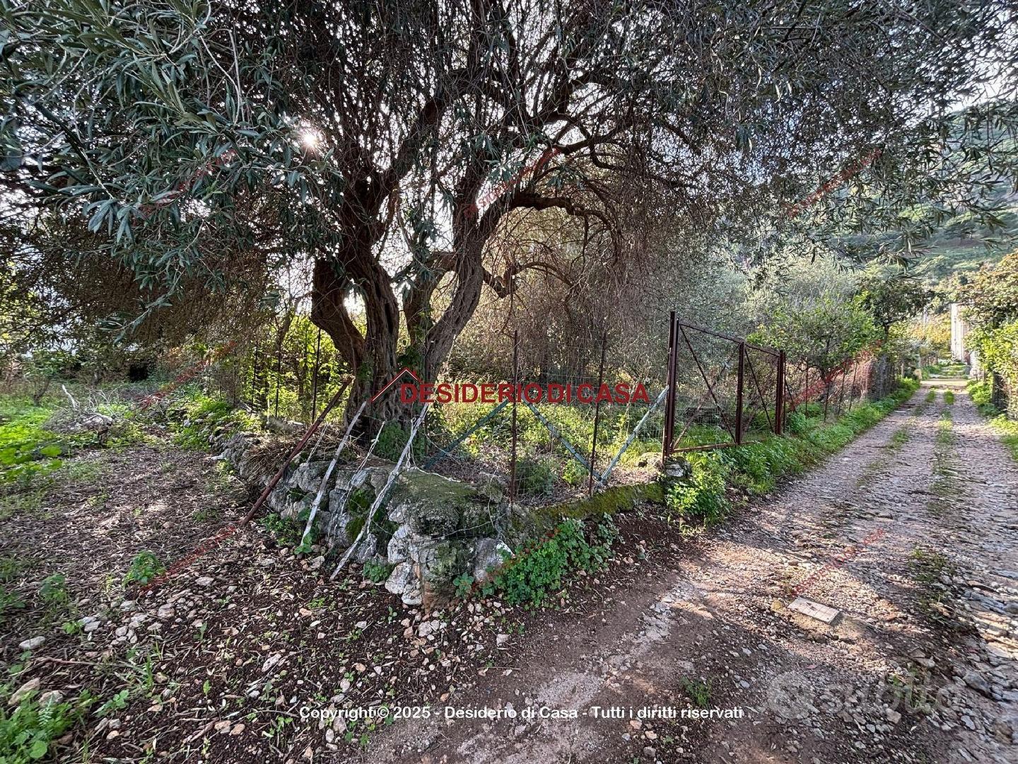 Terreno, Carini. - Vista 3
