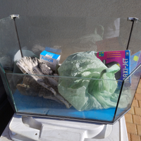 Kit Completo Acquaterrario per Tartarughe