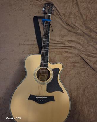 chitarra Vermont P100CE-N