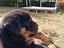 Immagine 3