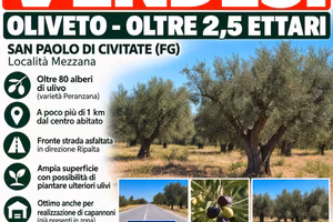 Oliveto terreno agricolo + 2 pozzi  1km da paese
