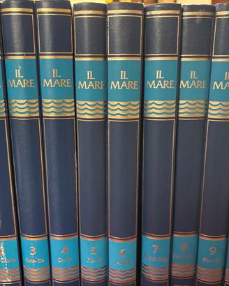 Enciclopedia IL MARE
