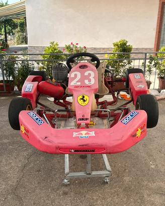 Go-Kart 100cc Presa Diretta Monomarcia