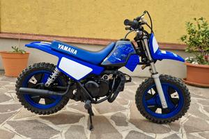Yamaha PW50