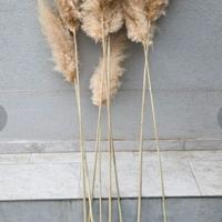 Vaso Fiori Pampas