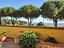 Immagine 20