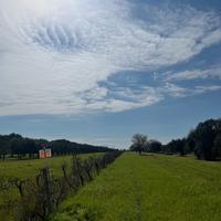 Terreno agricolo su SP105 di 4920mq