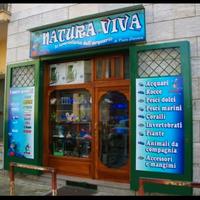 Attività commerciale