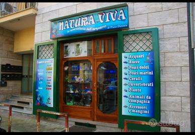 Attività commerciale