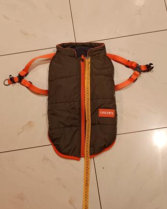 cappottini per cani piccola taglia