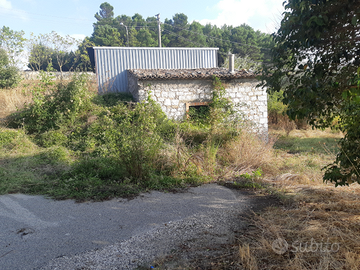 Casa con terreno - Gesualdo (AV)