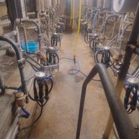 sala di mungitura alfa Laval 8+8