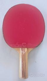Due racchette ping pong tavolo prof