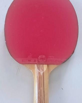 Due racchette ping pong tavolo prof