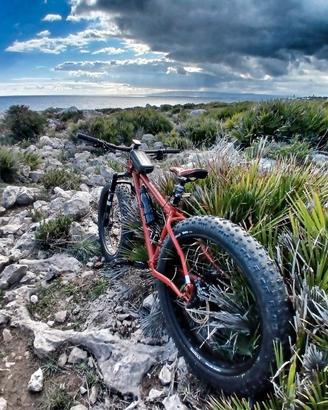 Fat bike Salsa made in USA misura M