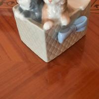 Gattini porcellana Nao