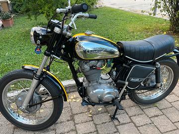 Ducati scrambler 450