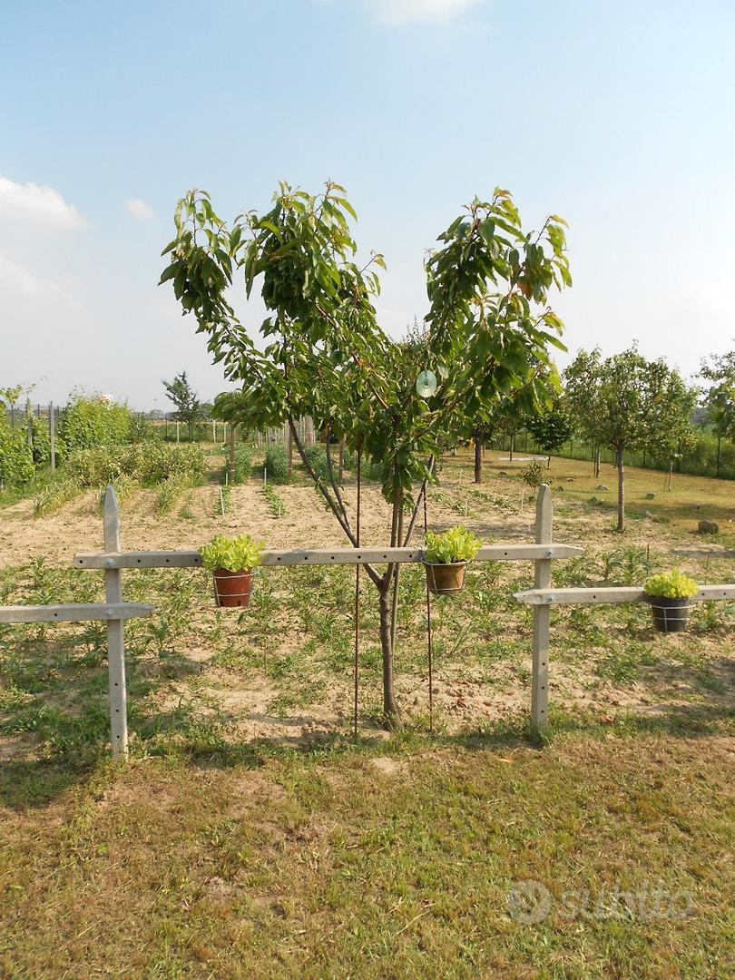 Terreno Agricolo - Vista 5