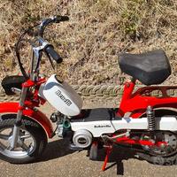 Benelli Motorella 50
